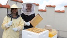 Biene / Jeder Imker braucht einen Stockmeißel. Damit hebt er die Waben aus den Zargen. Thomas zeigt Anna eine Honigwabe.  | Bild: BR / Text und Bild Medienproduktion