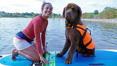 Ein Tag beim Hundeschwimmen / Neufundländer „Justus“ hat zur Sicherheit eine Schwimmweste an
| Bild: BR / Text und Bild Medienproduktion GmbH & Co.KG