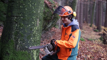 Der Holz-Check / Checker Can mit einer Motorsäge am Baum | Bild: BR/megaherz gmbh/Hans-Florian Hopfner