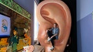 Der Gehörlosen-Check | In einem begehbaren Ohr findet Tobi heraus, wie unser Gehör funktioniert. | Bild: BR | megaherz gmbh | Nikola Krivokuca