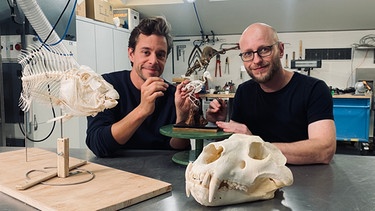 Der Knochen-Check | Tobi (links) präpariert zusammen mit Ausstellungspräparator Jan Tierknochen. | Bild: BR | megaherz gmbh | Sarah Schultes