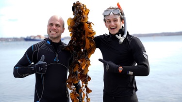 Pflücke die grüne Klimaretterin | Checker Julian (rechts) und Meeresbiologe Rafael. | Bild: BR | megaherz gmbh | Filip Felix