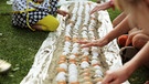 Der Rohe-Eier-Lauf?! | Bild: BR