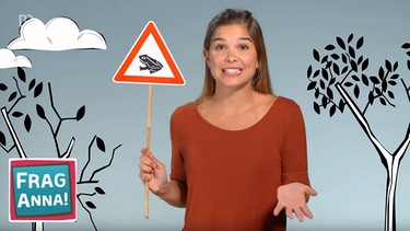 Termiten, Murmeltiere, Kröten | Anna beantwortet die Frage von Delta, warum Kröten wandern gehen. | Bild: BR | Text und Bild Medienproduktion GmbH & Co. KG