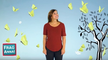 Anna erklärt, was Schmetterlinge im Winter machen. | Bild: BR/TEXT + BILD Medienproduktion GmbH & Co. KG