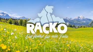 Racko - Ein Hund für alle Fälle | Bild: BR/ megaherz GmbH