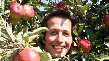 Wer pflückt die Äpfel von den Bäumen? / Willi bei der Apfelernte am Bodensee | Bild: BR / megaherz GmbH