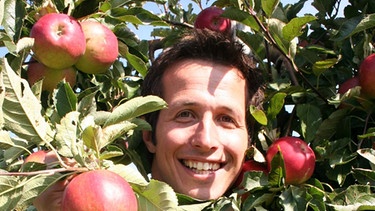Wer pflückt die Äpfel von den Bäumen? / Willi bei der Apfelernte am Bodensee | Bild: BR / megaherz GmbH