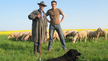 Wer darf auf dem Rasen grasen? / Willi, Schäfer Bonifaz und die Schafe | Bild: BR / megaherz GmbH