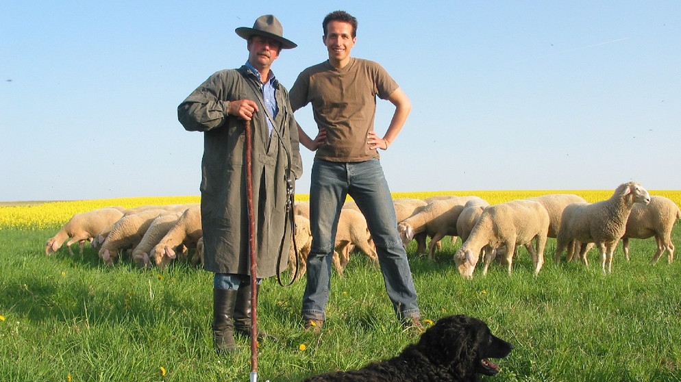 Wer darf auf dem Rasen grasen? / Willi, Schäfer Bonifaz und die Schafe | Bild: BR / megaherz GmbH