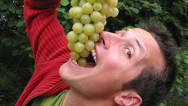Wie wird aus Trauben Wein gemacht? | Bild: BR / megaherz GmbH