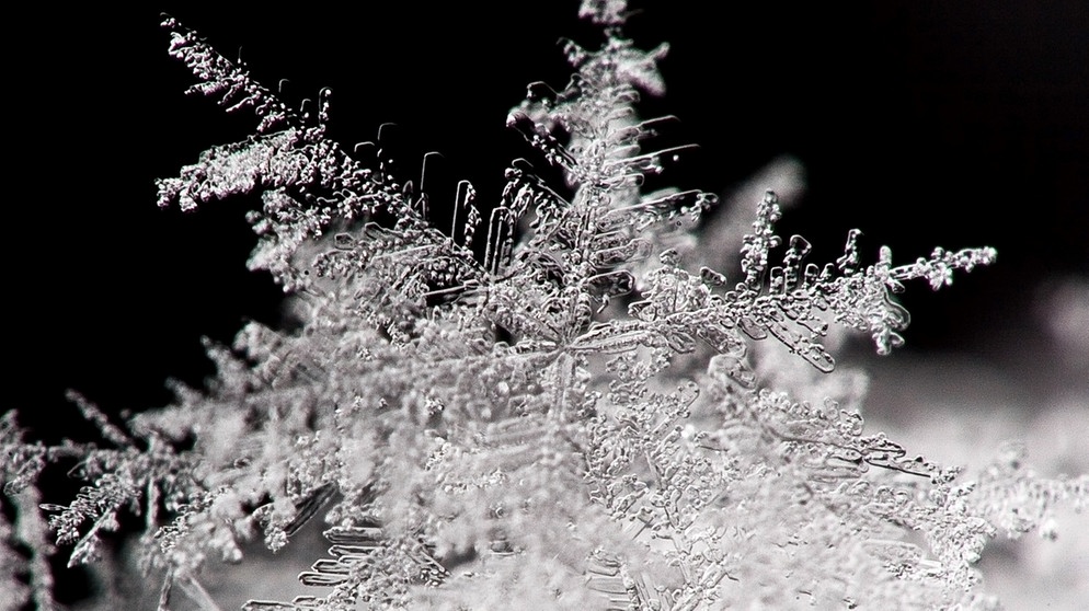 Schneekristalle in einer Schneeflocke. | Bild: picture-alliance/dpa