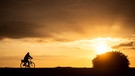 Ein Fahrradfahrer fährt bei Sonnenaufgang in den Kladdinger Wiesen (Bremen). | Bild: dpa-Bildfunk/Sina Schuldt