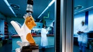 In einem Labor des TÜV-Rheinland wird ein Plüschhund einem Test unterzogen. | Bild: TÜV Rheinland