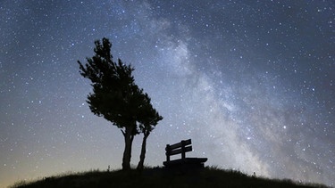Ein Baum mit einer Sitzbank unter Sternenhimmel mit Milchstrasse. Aufgenommen in der Schweiz. | Bild: picture-alliance/dpa