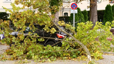 In Berlin hat der erste starke Herbststurm des Jahres 2021 einen großen Ast von einem Baum gerissen. Der Ast ist auf ein Auto gefallen. | Bild: dpa-Bildfunk/Wolfram Steinberg