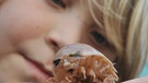 Ein Kind betrachtet im Sea Life Königswinter neugierig eine Riesenassel. Die Riesenassel und weitere Artgenossen dieser Riesenspezies aus der Tiefsee waren dort im Jahr 2010 in der Sonderausstellung "Ungeheuer unter Wasser" zu bewundern. | Bild: picture-alliance/dpa | Jörg Carstensen