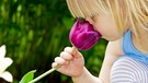 Mädchen riecht an einer Tulpe | Bild: colourbox.com