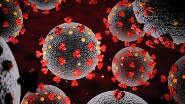 Ein dreidimensionales Modell des SARS-CoV-2-Coronavirus. | Bild: picture alliance / Hollandse Hoogte