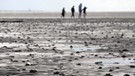 Wattenmeer mit einer Gruppe Spaziergänger im Hintergrund | Bild: picture-alliance/dpa