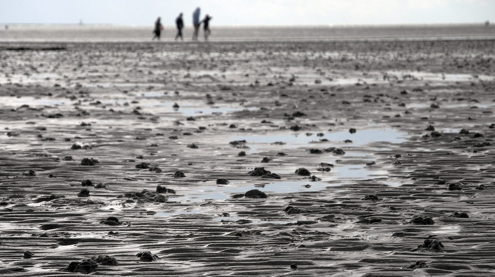 Wattenmeer mit einer Gruppe Spaziergänger im Hintergrund | Bild: picture-alliance/dpa