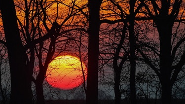 Ein farbenprächtiger Sonnenuntergang in Brandenburg am 21. Dezember zur Wintersonnenwende. | Bild: picture-alliance/dpa