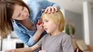 Eine junge Frau schneidet einem Kind die Haare. | Bild: colourbox.com