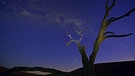 Ein Kameldornbaum (Acacia erioloba) vor dem nächtlichen Sternenhimmel mit der Milchstraße in der Wüste von Namibia. | Bild: picture alliance / imageBROKER