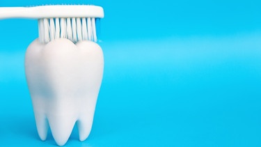 Zahn mit Zahnbürste | Bild: colourbox.com