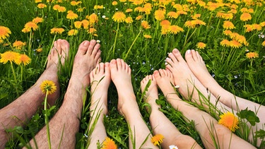 Acht Füße in einer Blumenwiese | Bild: picture-alliance/dpa
