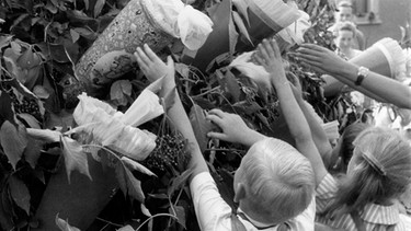Die Kinder suchen ihre eigene Schultüte im Zuckertütenbaum. | Bild: BR/Progress Film-Verleih/DEFA