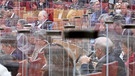 Die Abgeordneten des bayerischen Landtags sitzen während der Regierungserklärung des bayerischen Ministerpräsidenten hinter Plexiglasabtrennungen | Bild: Peter Kneffel/dpa