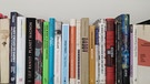 Mehrere Bücherrücken nebeneinander in einem Bücherregal | Bild: Autorin: Katja Engelhardt // Privates Bild, bitte nicht ohne Nachfrage verwenden
