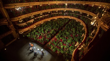 Barcelona Liceu Konzert für Pflanzen | Bild: Emilio Morenatti/dpa