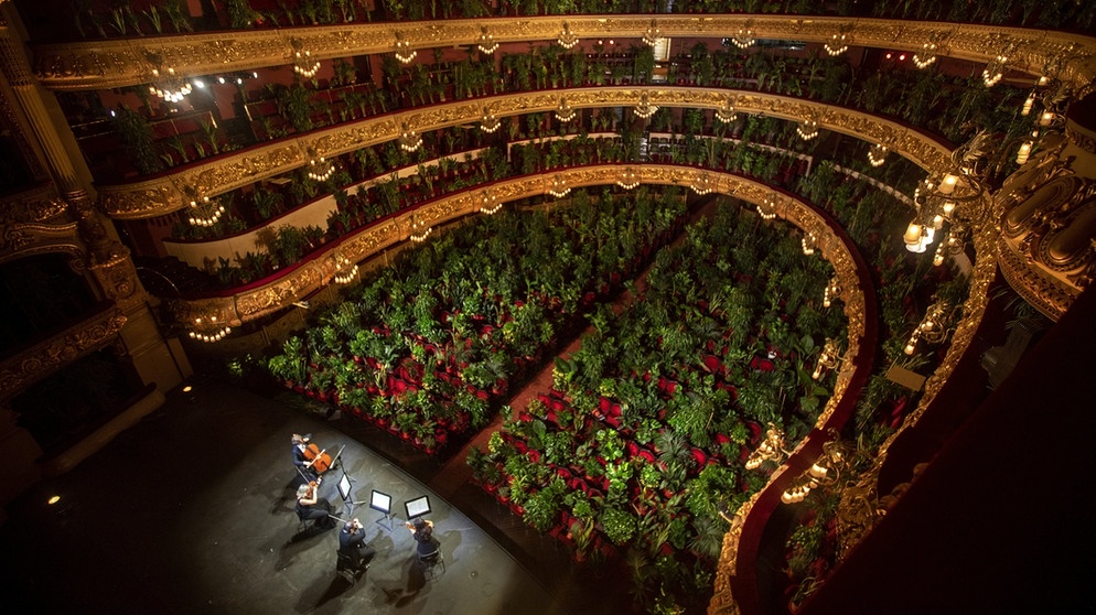 Barcelona Liceu Konzert für Pflanzen | Bild: Emilio Morenatti/dpa