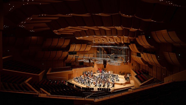 Die Münchner Philharmoniker im leeren Konzertsaal im Münchner Gasteig | Bild: Andreas Gebert/dpa