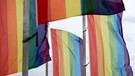 Die Regenbogenflagge | Bild: picture-alliance/dpa  Geisler-Fotopress | Christoph Hardt/Geisler-Fotopres