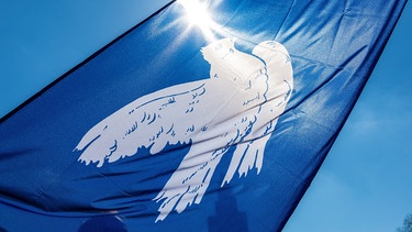 Blaue Fahne mit weißer Friedenstaube vor Sonnenlicht | Bild: dpa-Bildfunk/Frank Hammerschmidt