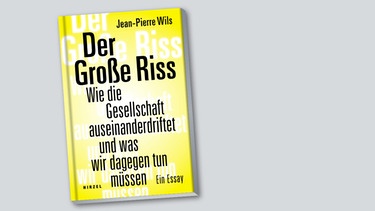 Buchcover des Essays "Der große Riss" von Jean-Pierre Wils | Bild: Verlag S. Hirzel