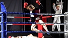 Jedermann-Inszenierung im Boxring | Bild: dpa-Bildfunk/Barbara Gindl