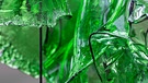 Eine Nahaufnahme von Algen aus grünem Glas  | Bild: Tue Greenfort, KÖNIG GALERIE Berlin, London, Seoul 