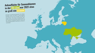 Katapult Ukraine Karte: Sonnenblumenöl. Aus dem Atlas: 100 Karten über die Ukraine | Bild: Katapult Verlag
