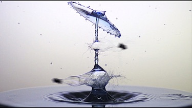 Zeitrafferaufnahme eines Wassertropfens von Daniel Nimmervoll | Bild: Daniel Nimmervoll. Zeitrafferaufnahme
