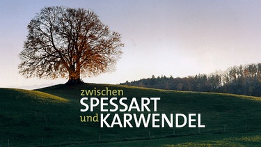 Sendungsbild: Spessart und Karwendel | Bild: BR