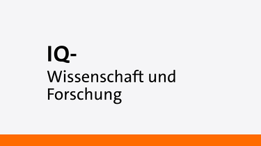 IQ - Wissenschaft und Forschung.  | Bild: Bayern 2