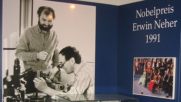Im Heimatmuseum Buchloe: Kabinett zu Nobellpreisträger Prof. Neher | Bild: Heimatmuseum Buchloe