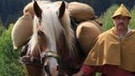 Säumer mit Pferden im Bayerischen Wald | Bild: BR/Bildungsprojekte