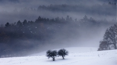 Verschneite Landschaft im Bayerischen Wald im Nebel | Bild: picture-alliance/dpa