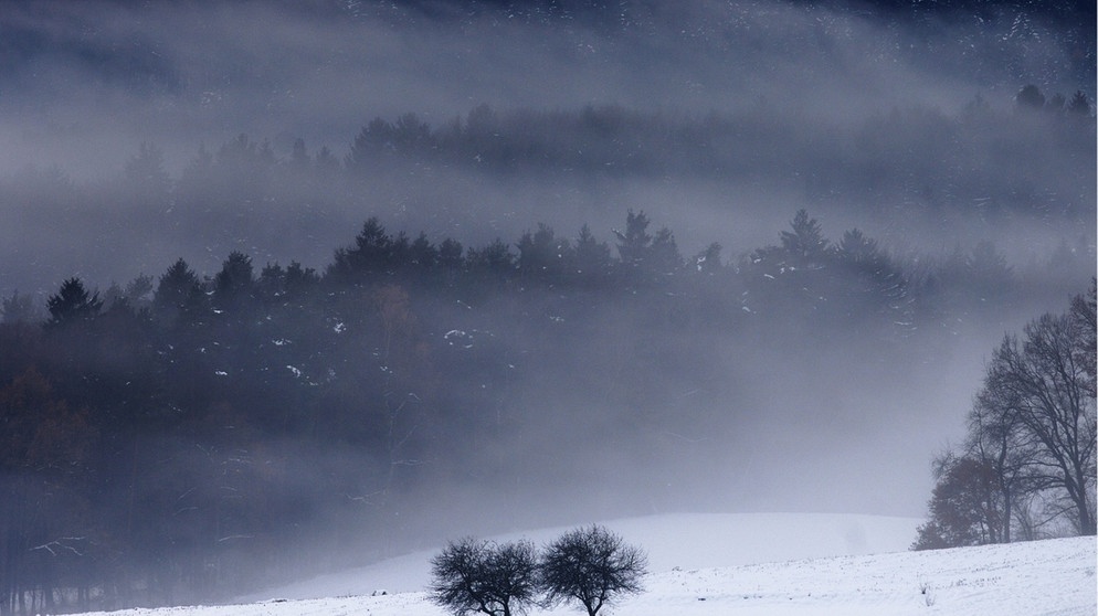 Verschneite Landschaft im Bayerischen Wald im Nebel | Bild: picture-alliance/dpa