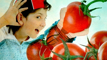 Tomate quetscht sich in eine leere Flasche | Bild: colourbox.com; Montage: BR